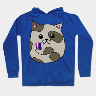 genderfluid pride flag cat Hoodie